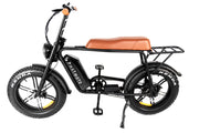 PHATMOTO® Ebike Traveler LiPolymer 48V 17.5Ah battery