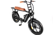 PHATMOTO® Electric Traveler