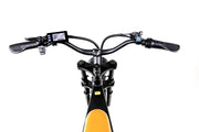 Buy PHATMOTO® Electric City Champ online