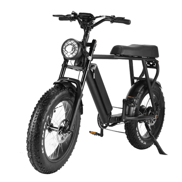 20inch Lithium Fat Tire Ebike