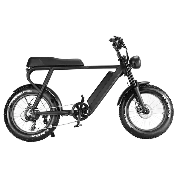 20inch Lithium Fat Tire Ebike - Titan 01