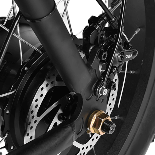 20inch Lithium Fat Tire Ebike - Titan