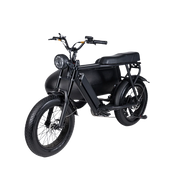 TS-750W Lithium Bike with Sidecar - Electric Bike with Sidecar 45 km/h | $3,099.00 | Free Shipping