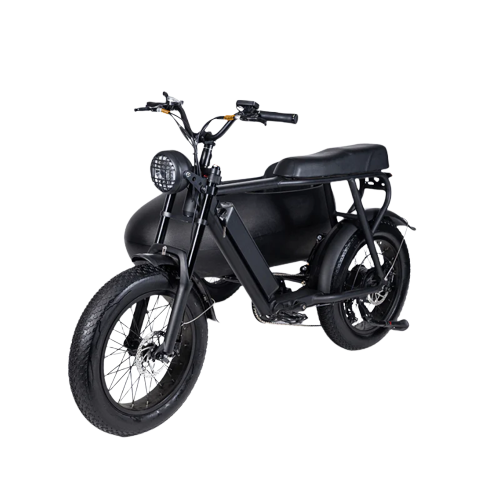 TS-750W Lithium Bike with Sidecar - Electric Bike with Sidecar 45 km/h | $3,099.00 | Free Shipping