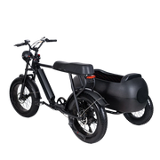 TS-750W Lithium Bike with Sidecar - Electric Bike with Sidecar 45 km/h | $3,099.00 | Free Shipping