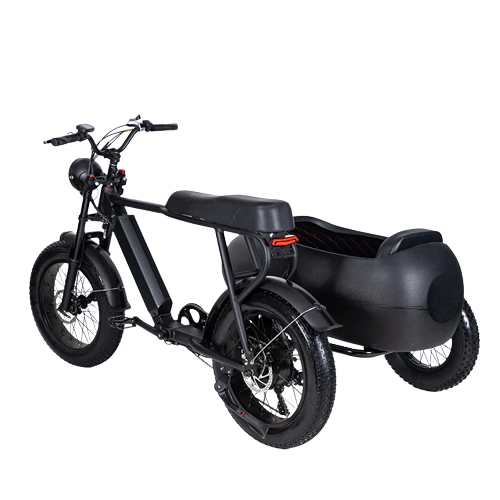 TS-750W Lithium Bike with Sidecar - Electric Bike with Sidecar 45 km/h | $3,099.00 | Free Shipping