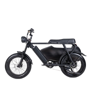 TS-750W Lithium Bike with Sidecar - Electric Bike with Sidecar 45 km/h | $3,099.00 | Free Shipping