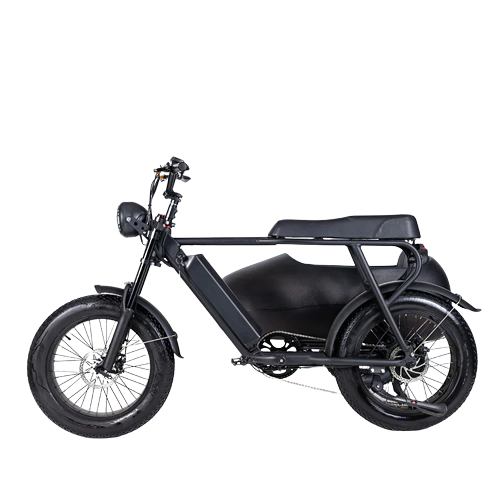 TS-750W Lithium Bike with Sidecar - Electric Bike with Sidecar 45 km/h | $3,099.00 | Free Shipping