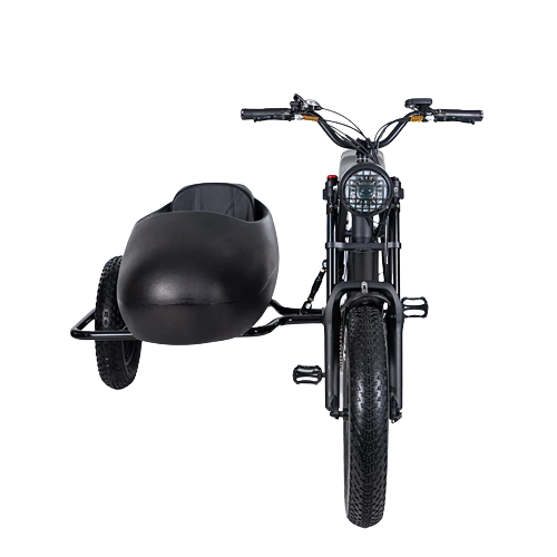 TS-750W Lithium Bike with Sidecar - Electric Bike with Sidecar 45 km/h | $3,099.00 | Free Shipping
