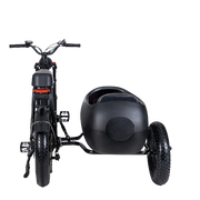 TS-750W Lithium Bike with Sidecar - Electric Bike with Sidecar 45 km/h | $3,099.00 | Free Shipping