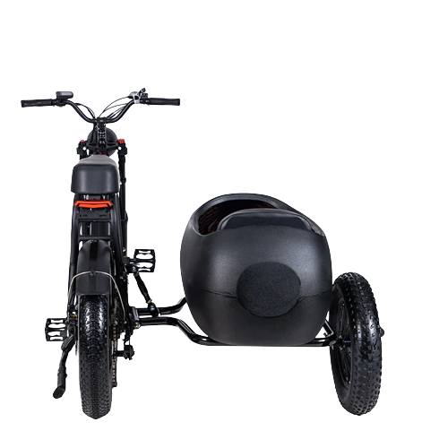 TS-750W Lithium Bike with Sidecar - Electric Bike with Sidecar 45 km/h | $3,099.00 | Free Shipping