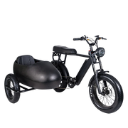 TS-750W Lithium Bike with Sidecar - Electric Bike with Sidecar 45 km/h | $3,099.00 | Free Shipping