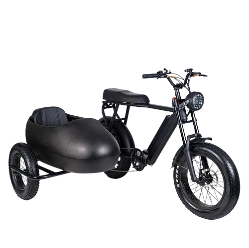 TS-750W Lithium Bike with Sidecar - Electric Bike with Sidecar 45 km/h | $3,099.00 | Free Shipping
